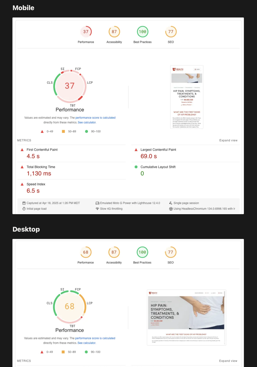 A screenshot of the embedded Google Pagespeed report.